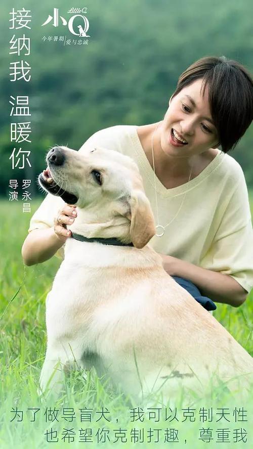 办理假阿拉斯加大学文凭毕业证